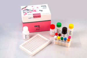 Elisa Kit – B.HCG 48 Test