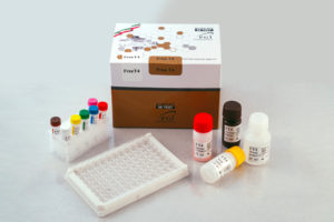 Elisa Kit – Free T4 96 Test
