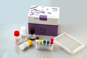 Elisa Kit – Prolactin 48 Test