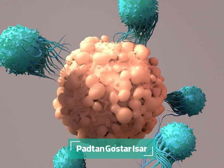 غلبه بر موانع درمان تومور جامد با سلول های T CAR مبتنی بر mRNA 