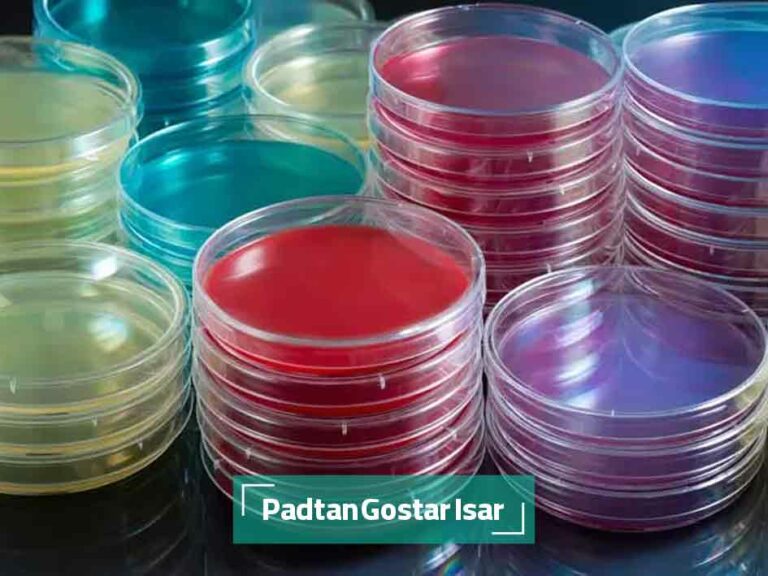 انواع محیط های کشت 