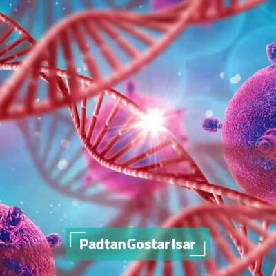 پروتئین گیرنده نقش کلیدی در مقاومت دارویی سلول های سرطانی پروستات دارد 