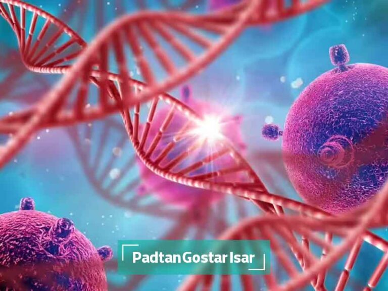 پروتئین گیرنده نقش کلیدی در مقاومت دارویی سلول های سرطانی پروستات دارد