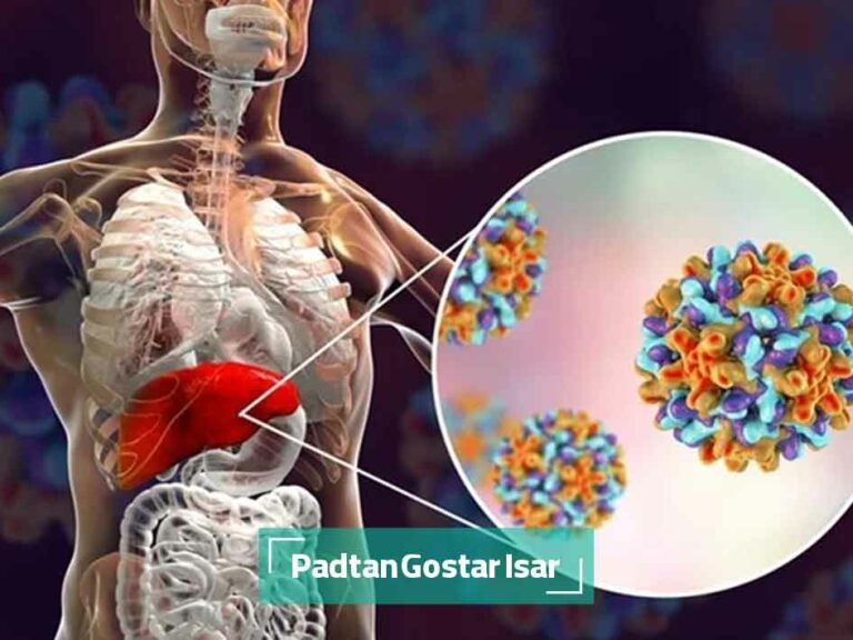 ساختار هپاتیت B: انعطاف پذیری و عملکرد کپسید